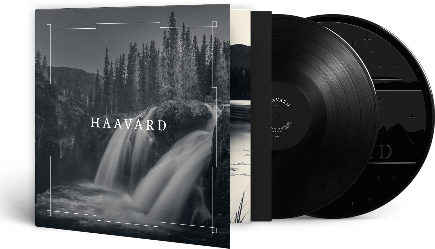Haavard