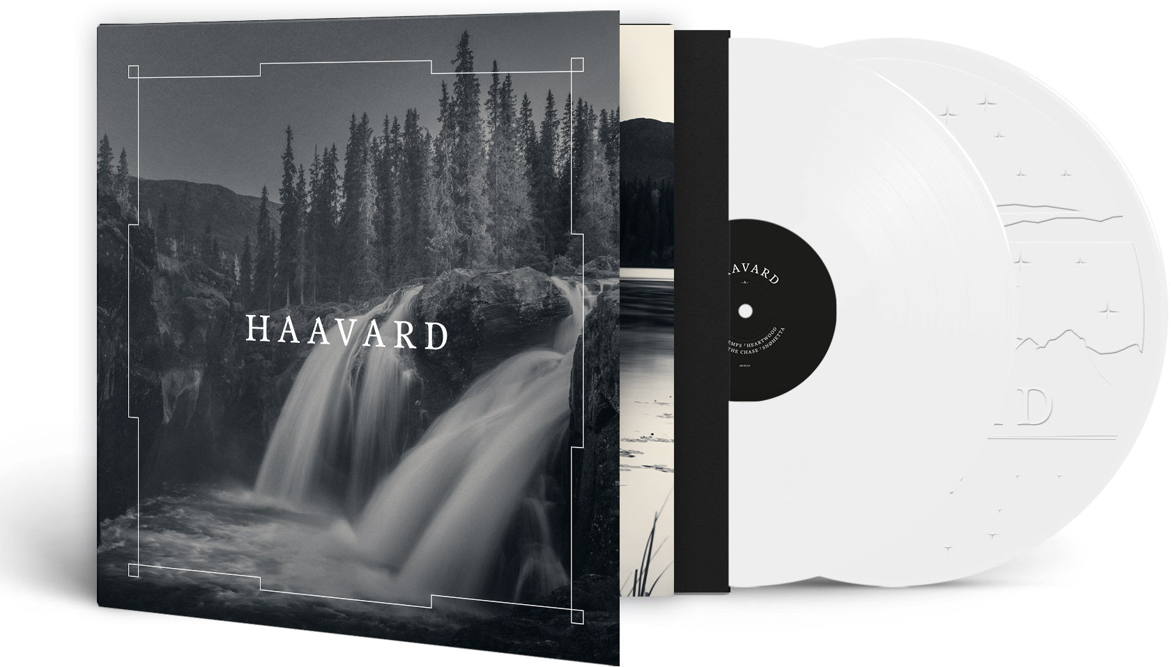 Haavard