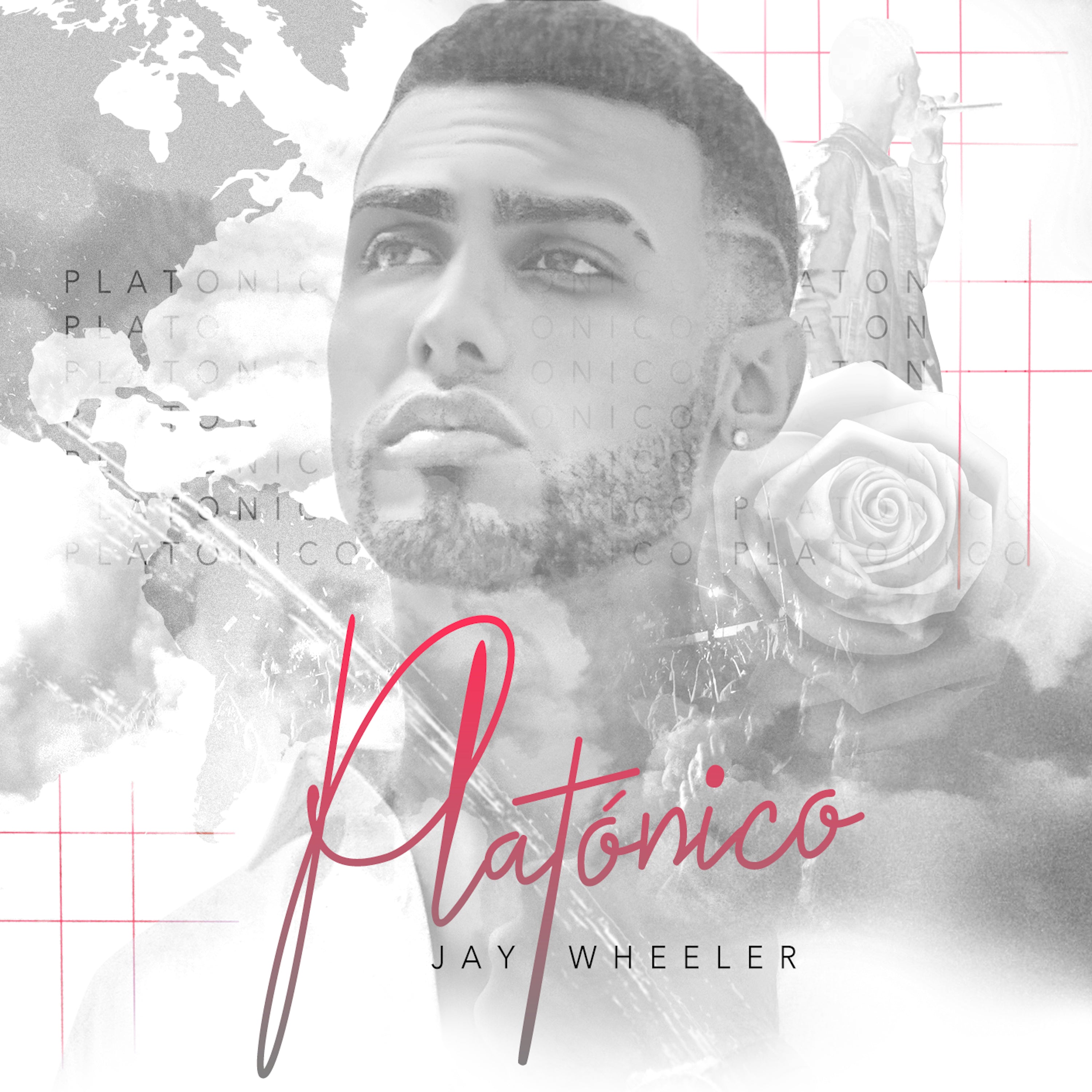 Platonico - Red & Black Marble
