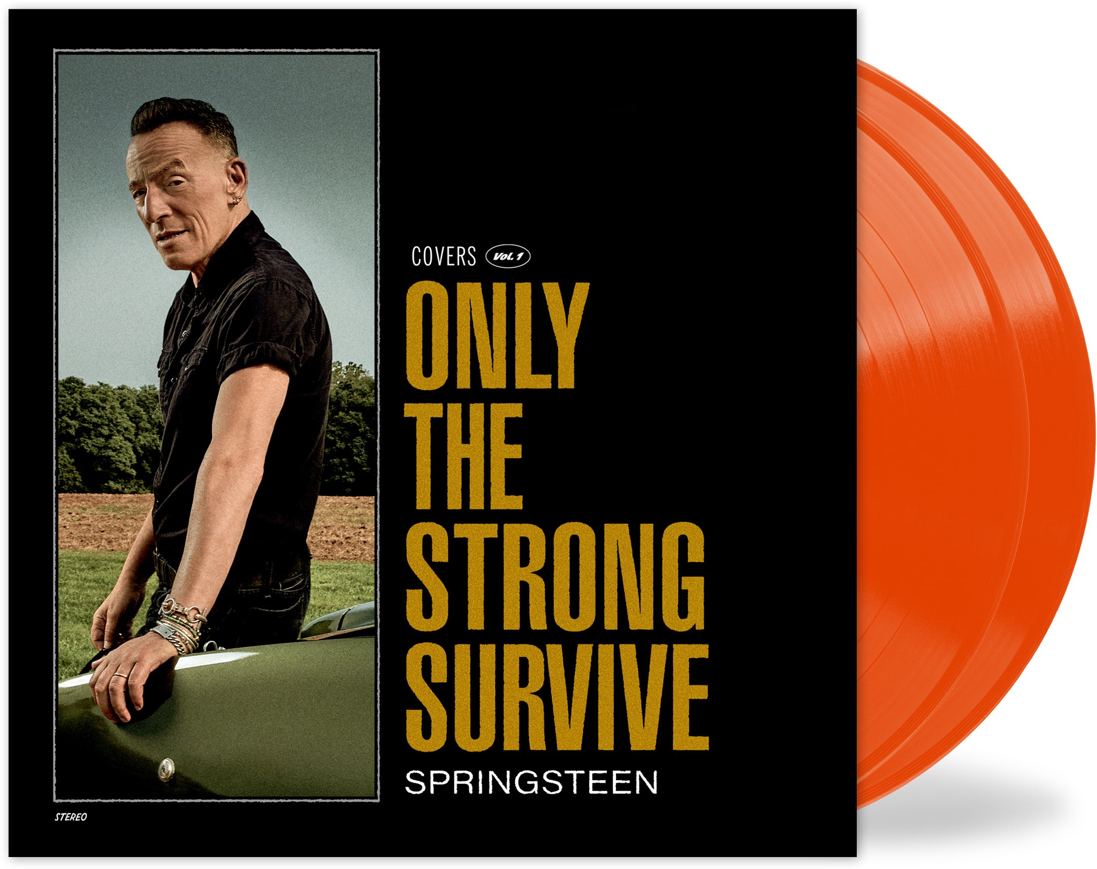 Only The Strong Survive (Covers Vol. 1)