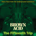 Brown Acid: The Fifteenth Trip (Heavy Rock From The American Comedown Era)