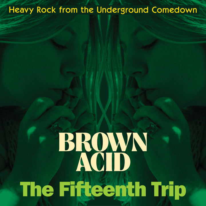 Brown Acid: The Fifteenth Trip (Heavy Rock From The American Comedown Era)