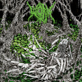 Gloomlord