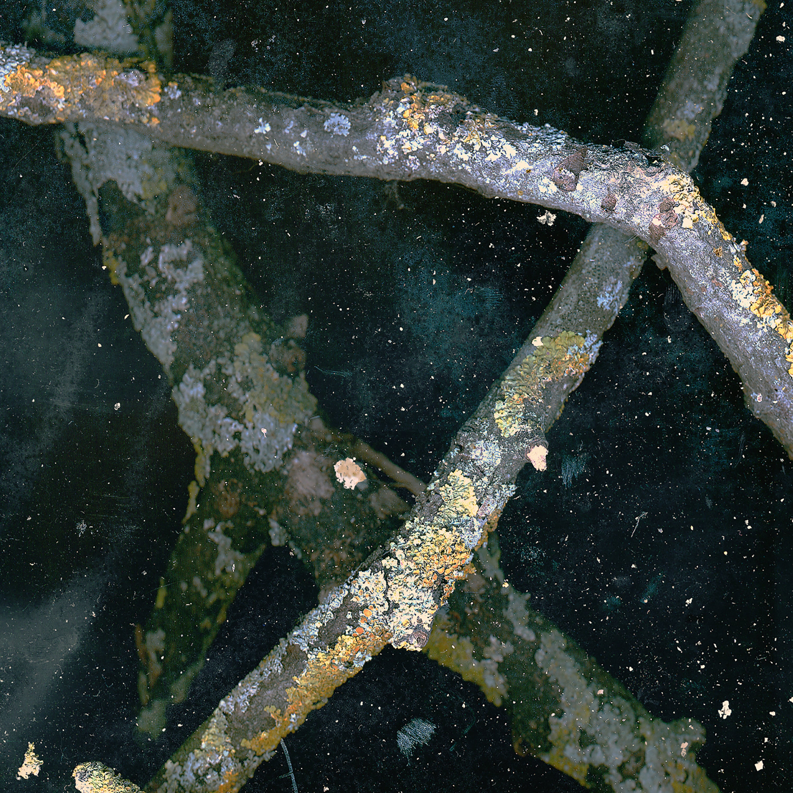 Мреть {Наутро Ночь}