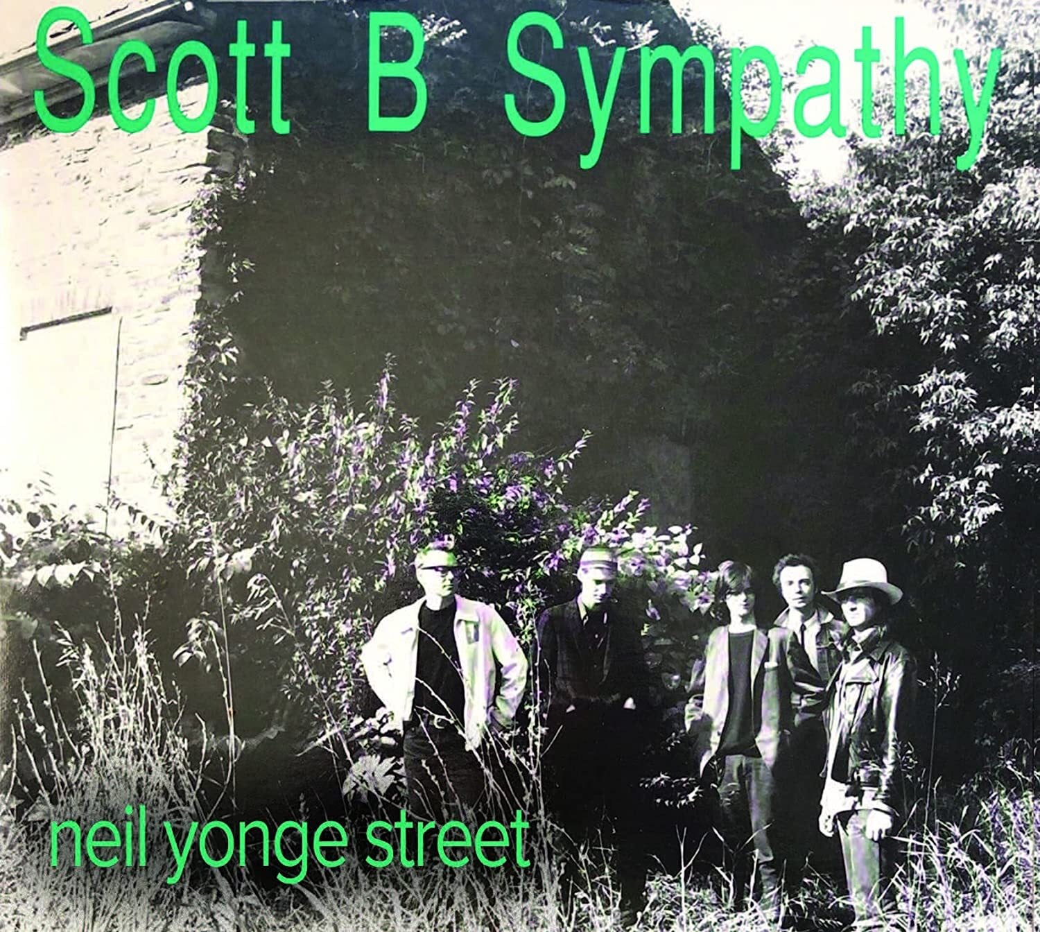 Neil Yonge Street