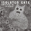 Universe In Reverse