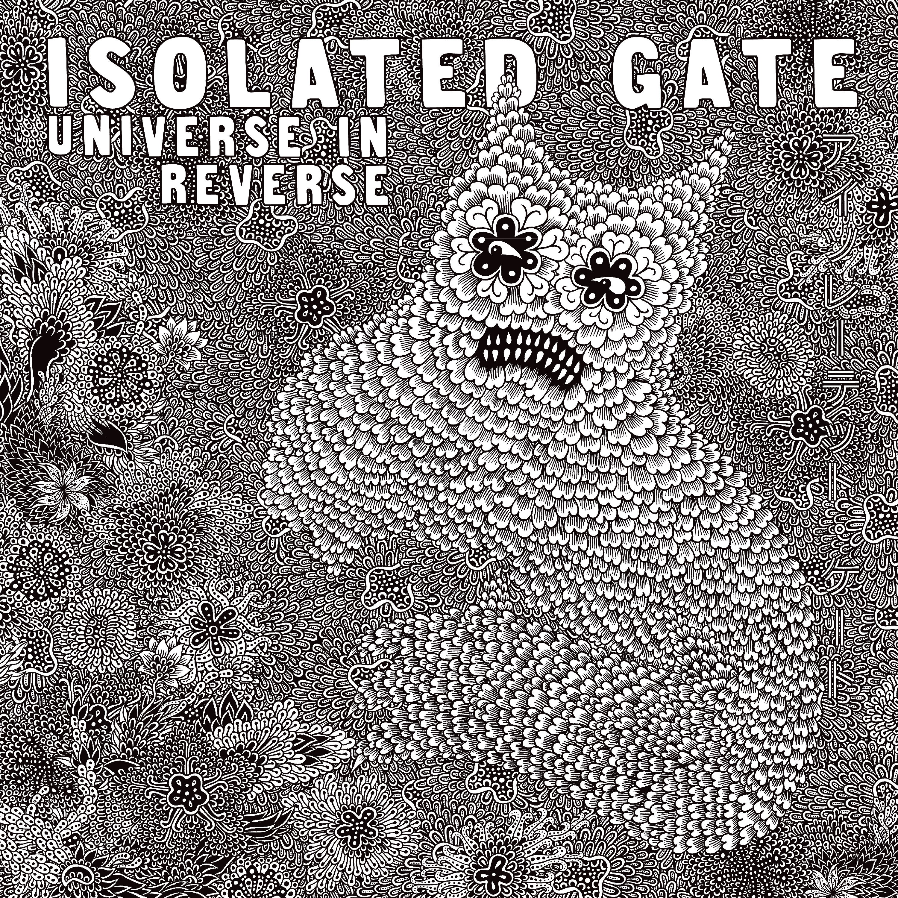 Universe In Reverse