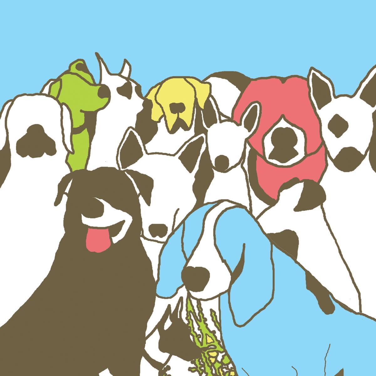 Dog Problems - Milky Clear