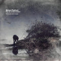 Flux & Contemplation - Portrait Of An Artist In Isolation