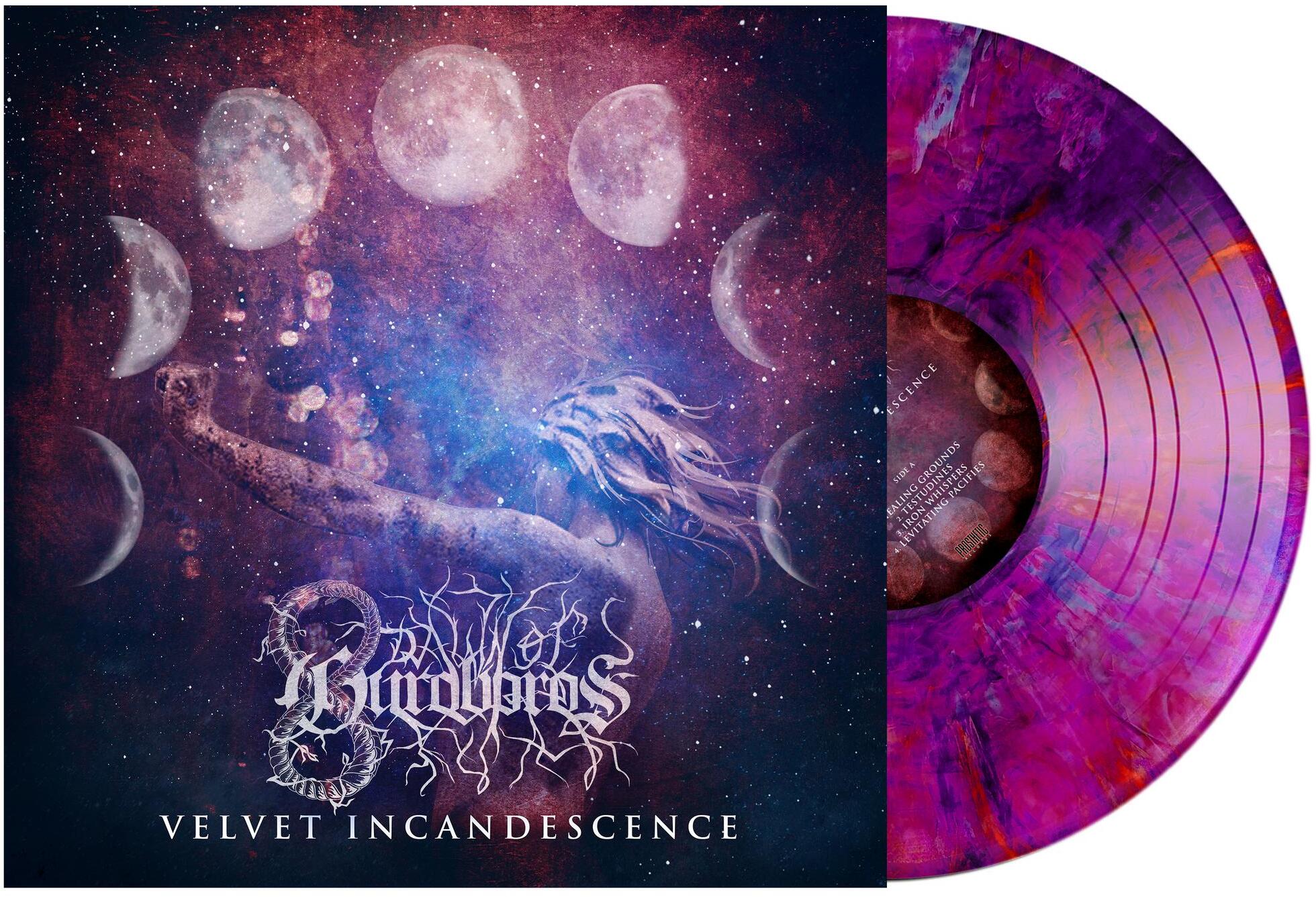Velvet Incandescence