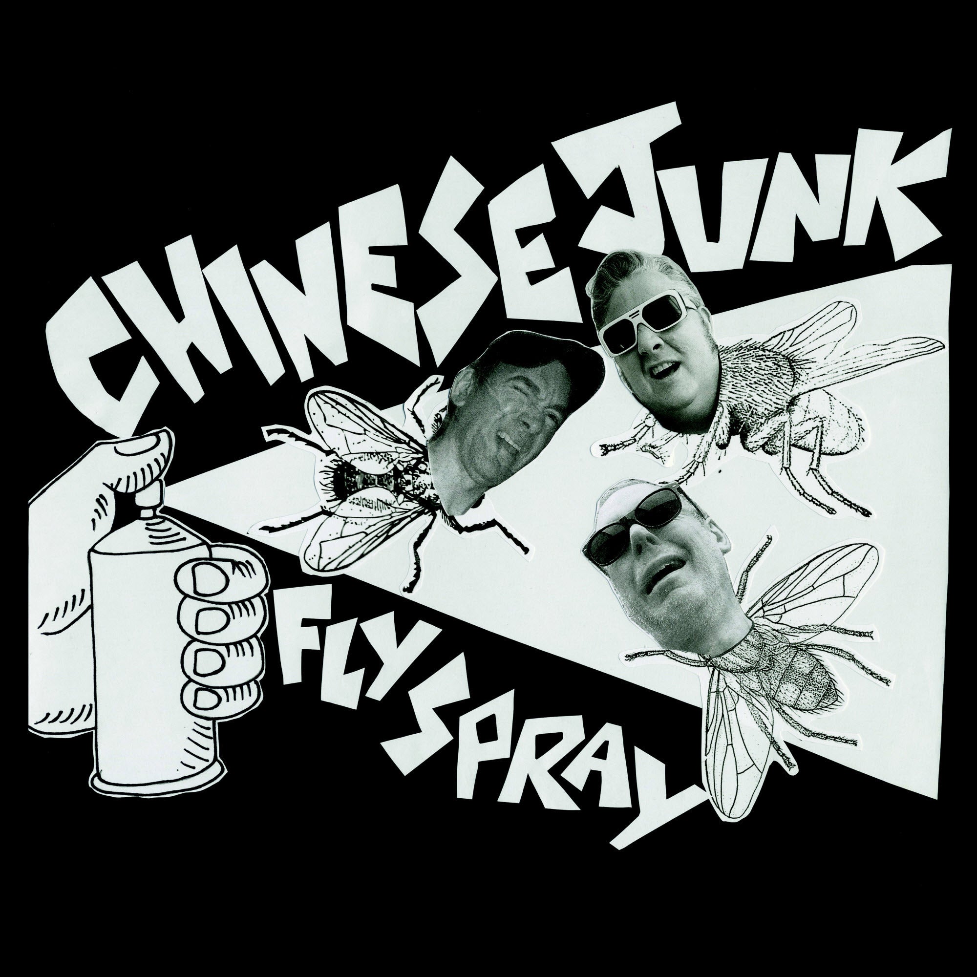 Fly Spray
