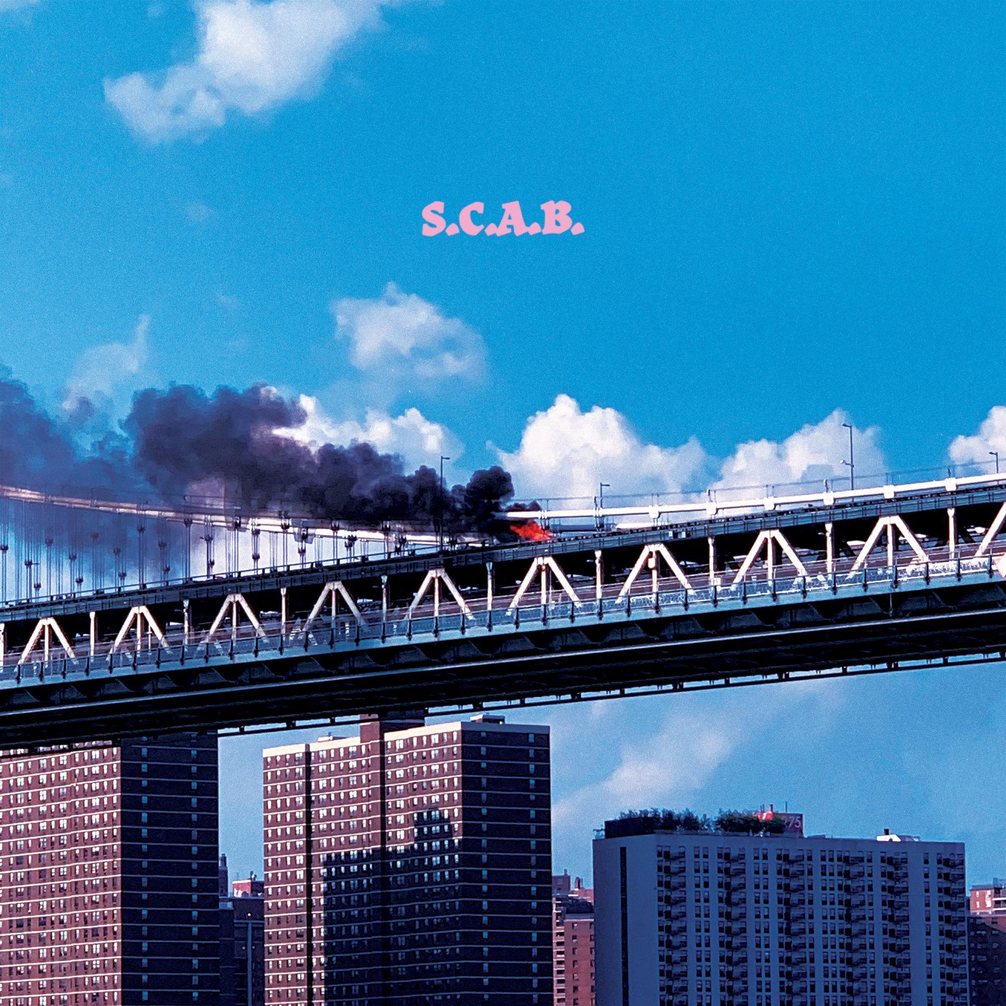 S.c.a.b.
