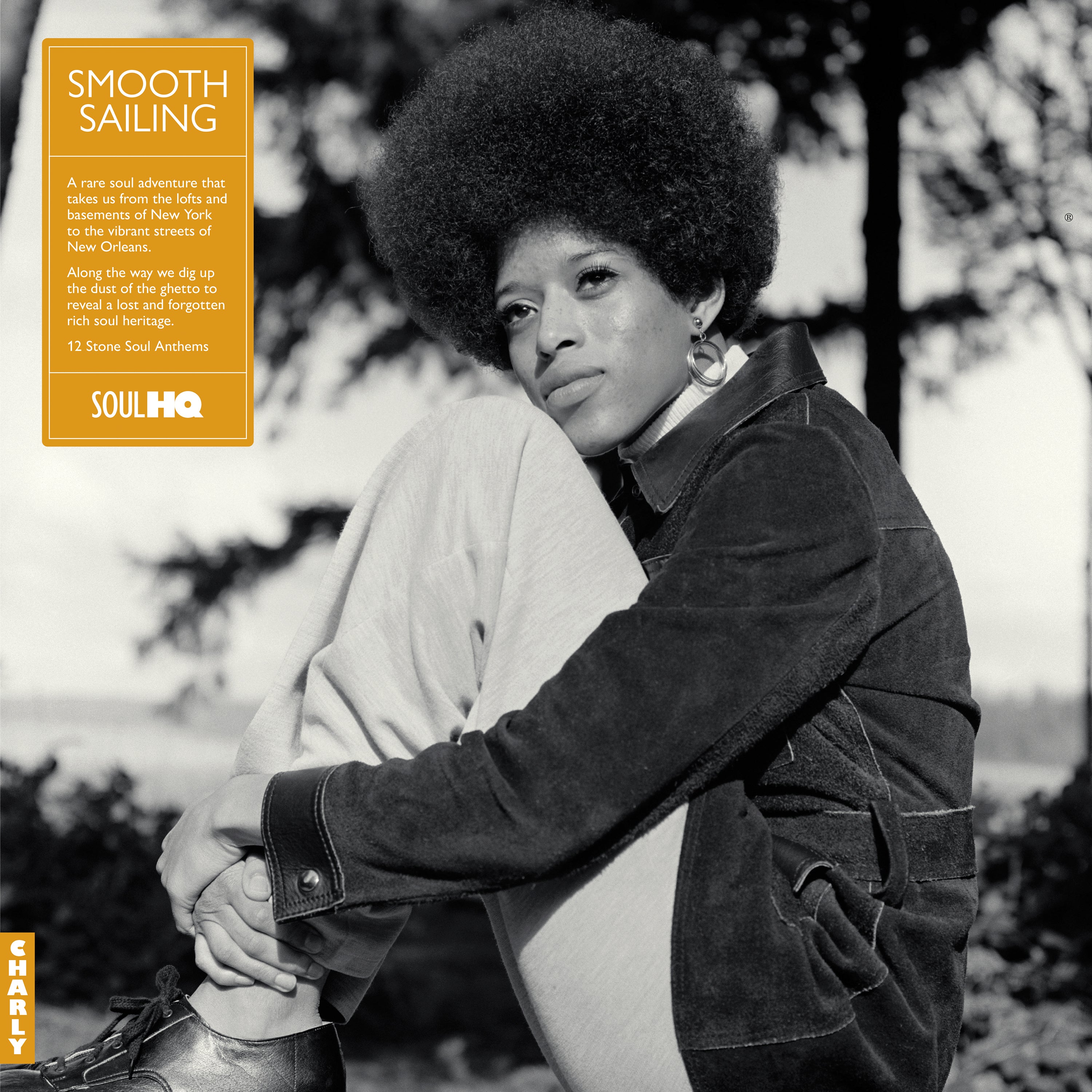 Smooth Sailing: A Rare Soul Adventure (Various Artists)