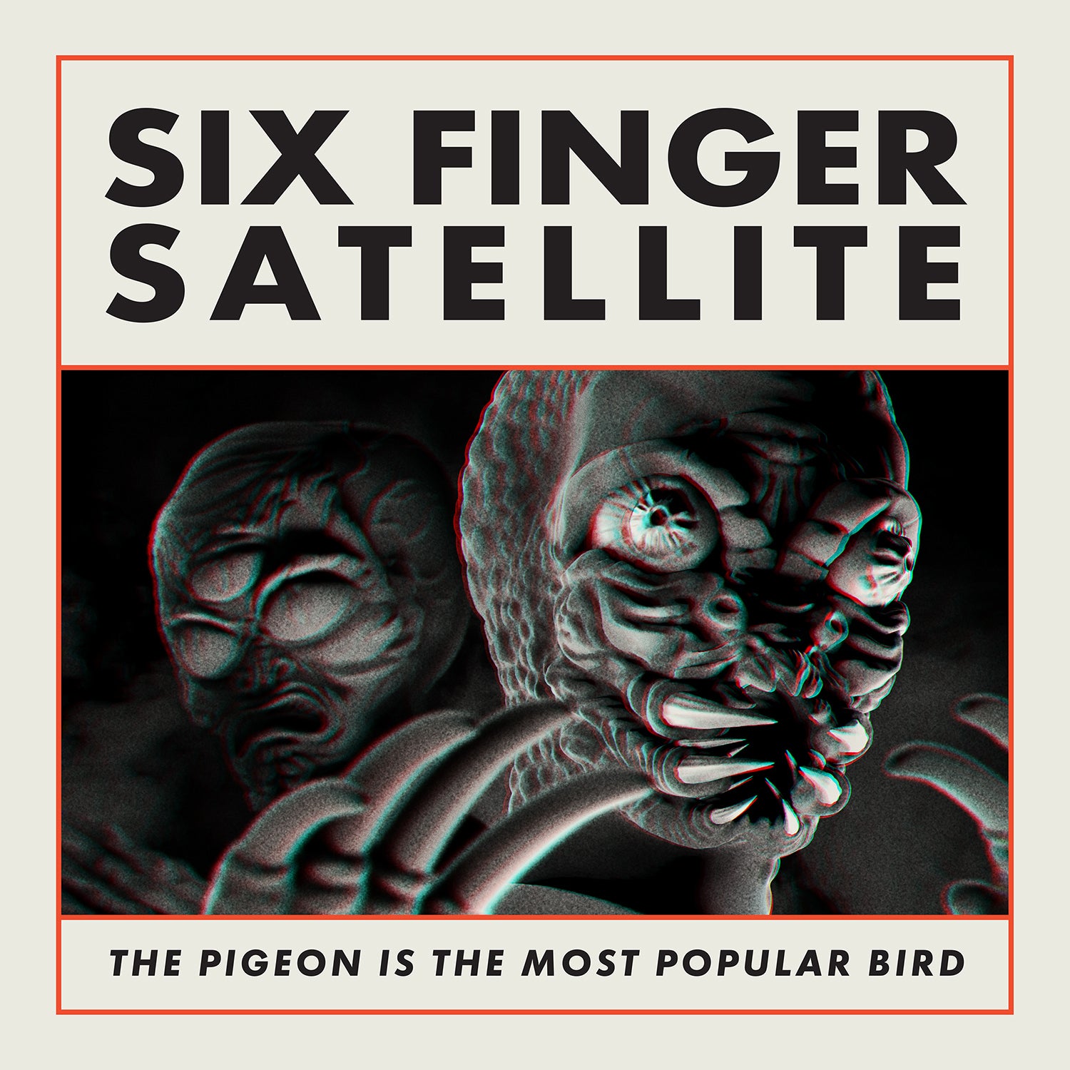 The Pigeon Is The Most Popular Bird