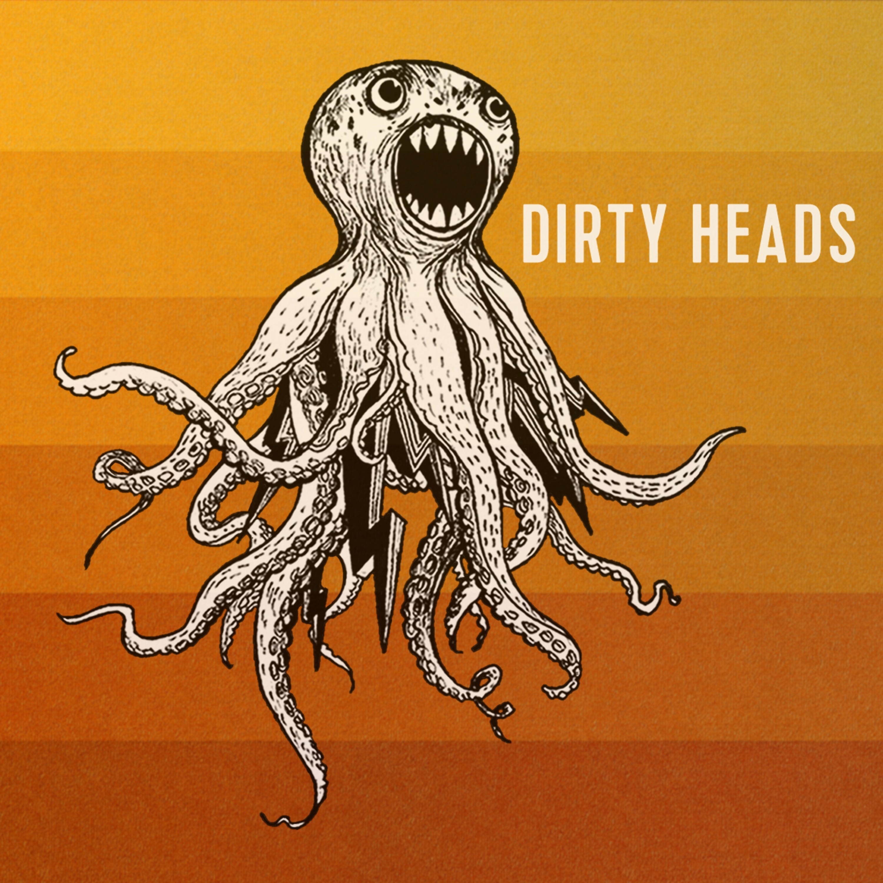 Dirty Heads