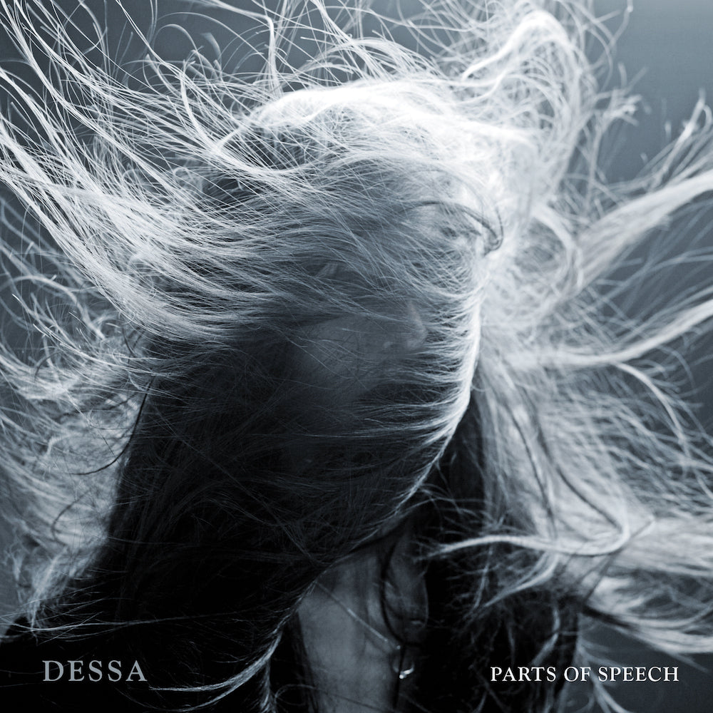 Parts Of Speech (10-year-anniversary Edition)