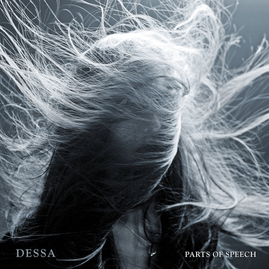 Parts Of Speech (10-year-anniversary Edition)
