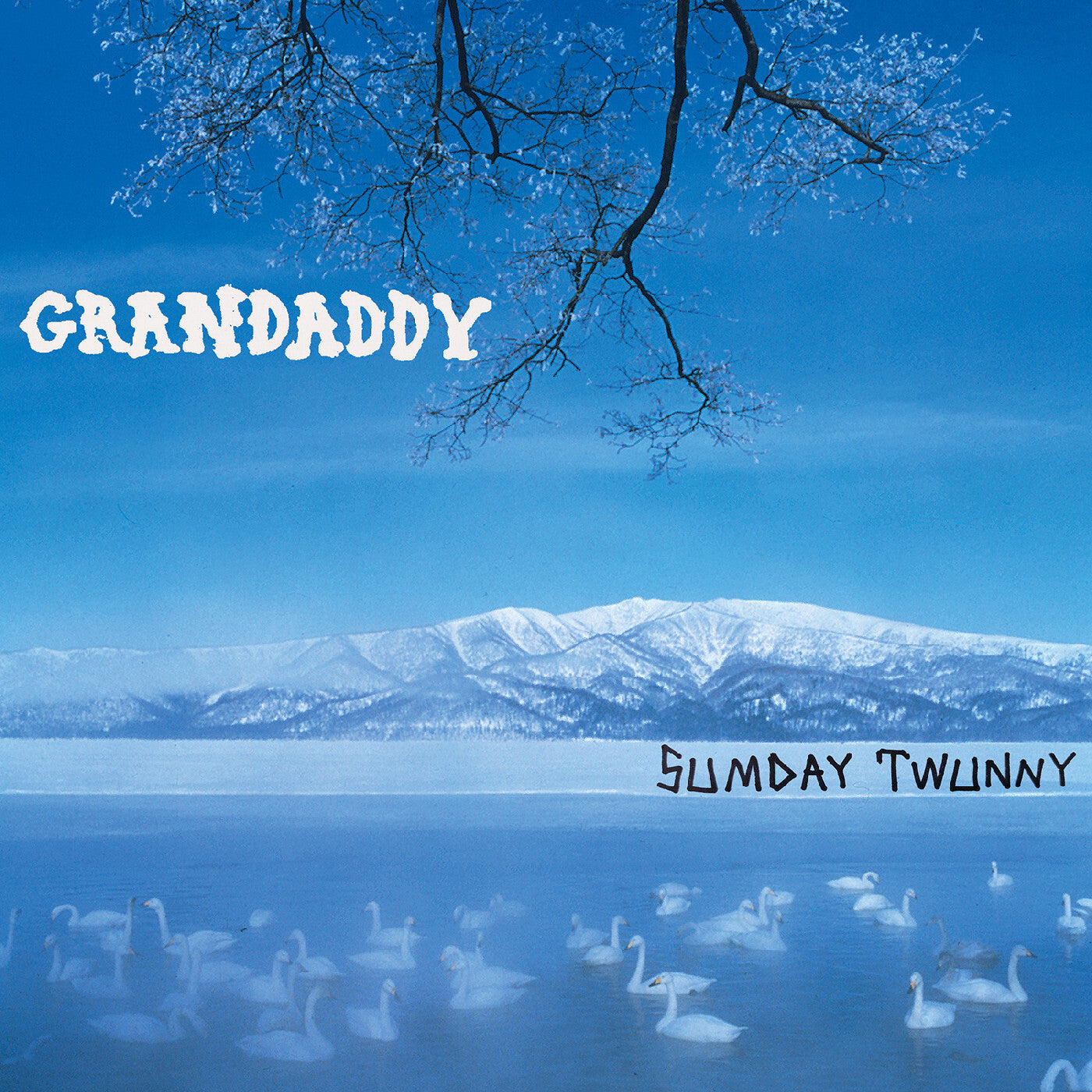 Sumday: Twunny