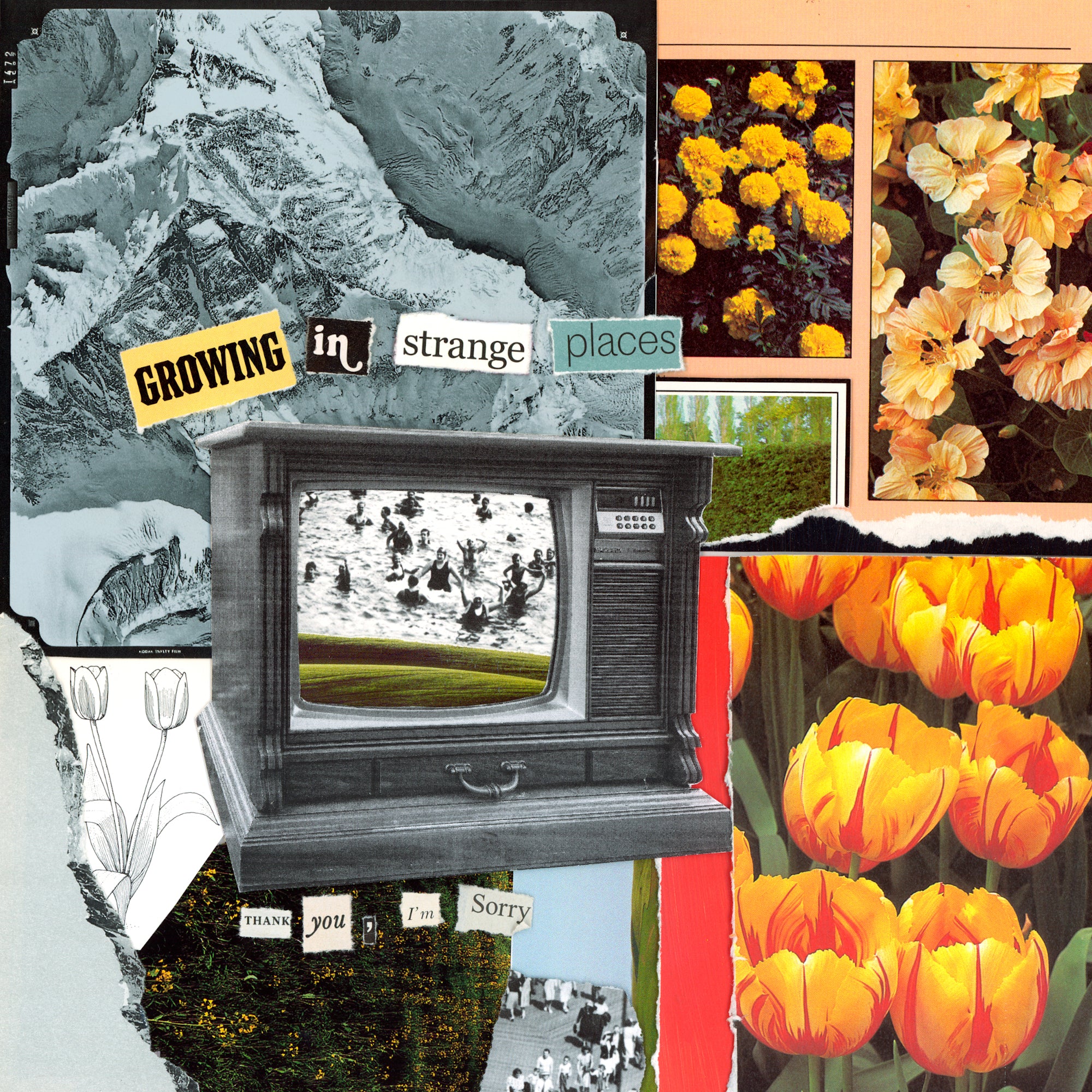 Growing In Strange Places - Orange Crush