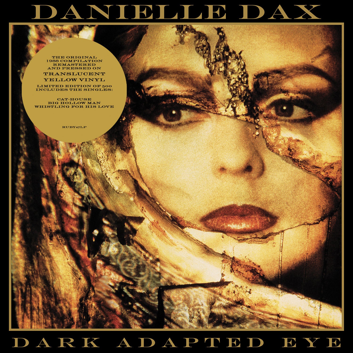 Dark Adapted Eye