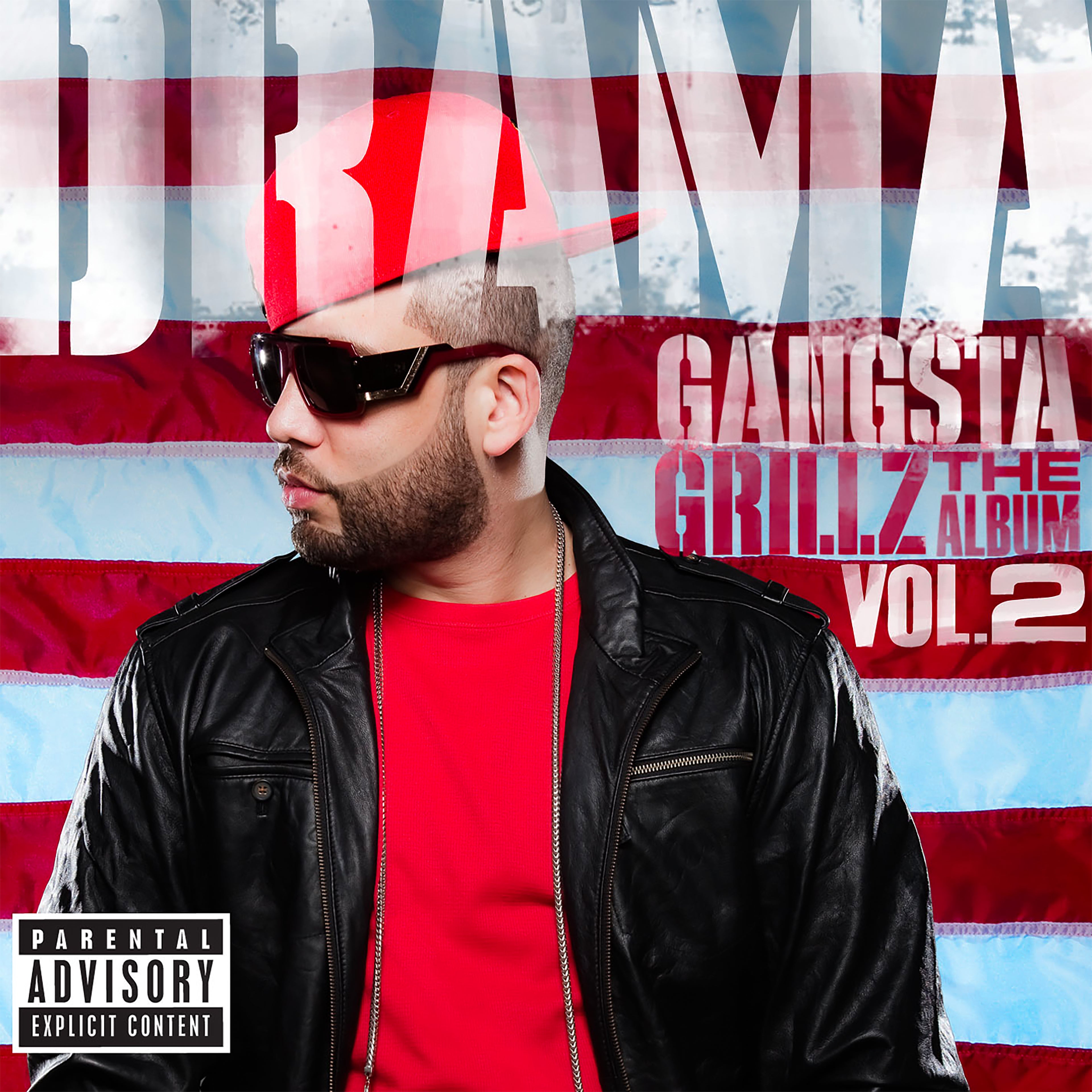 Gangsta Grillz: The Album Vol. 2