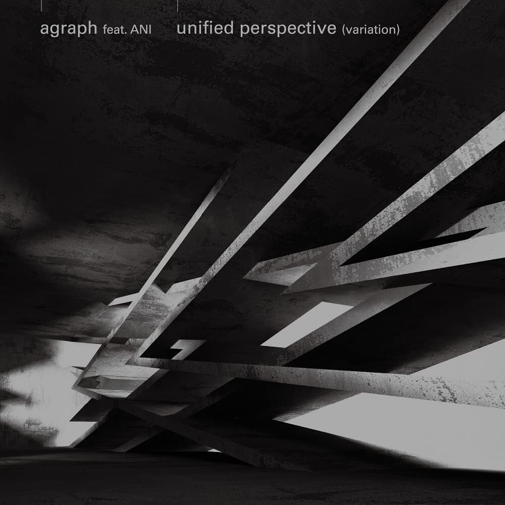 Unified Perspective (Variation)