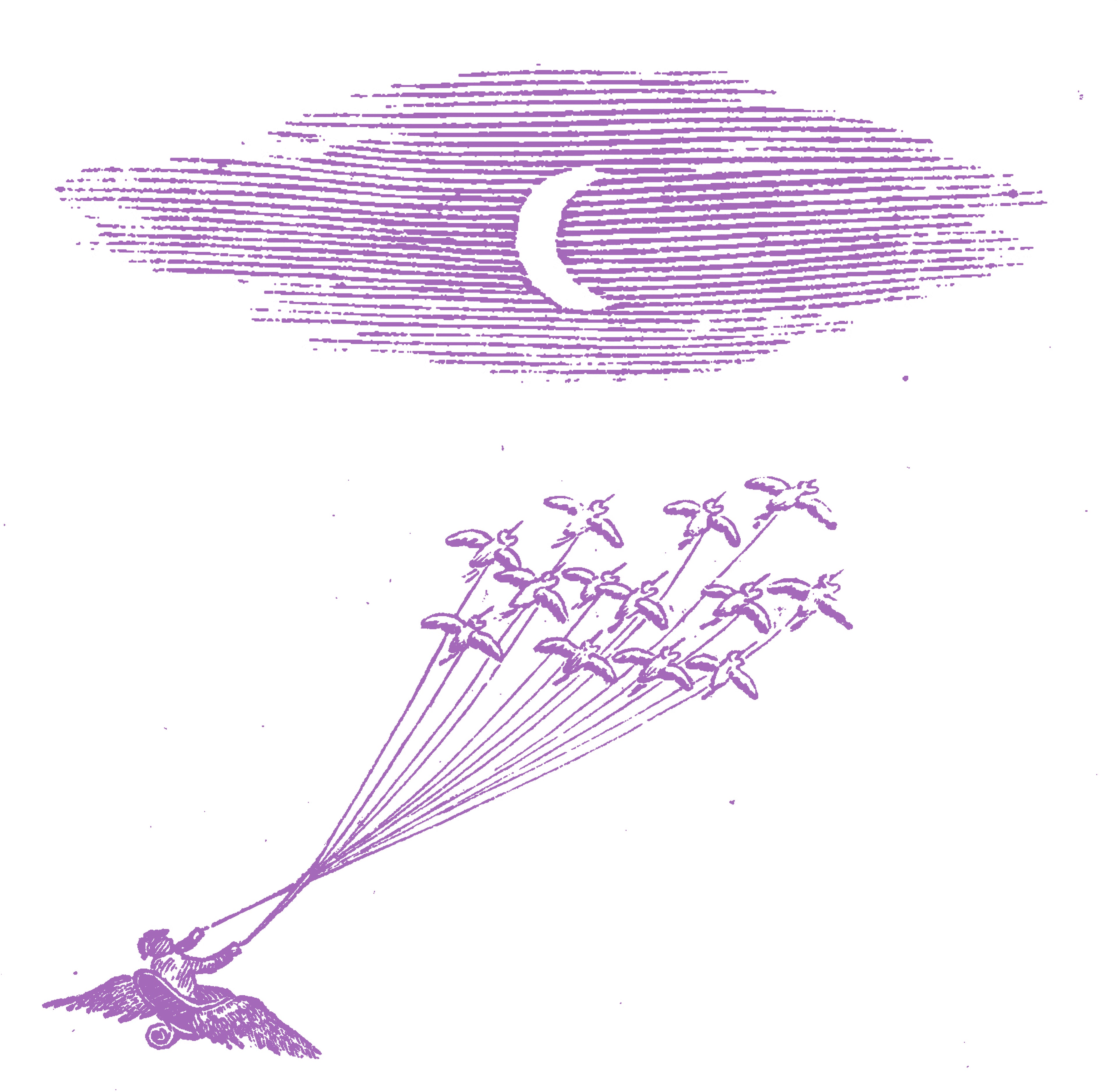 Migration Magic