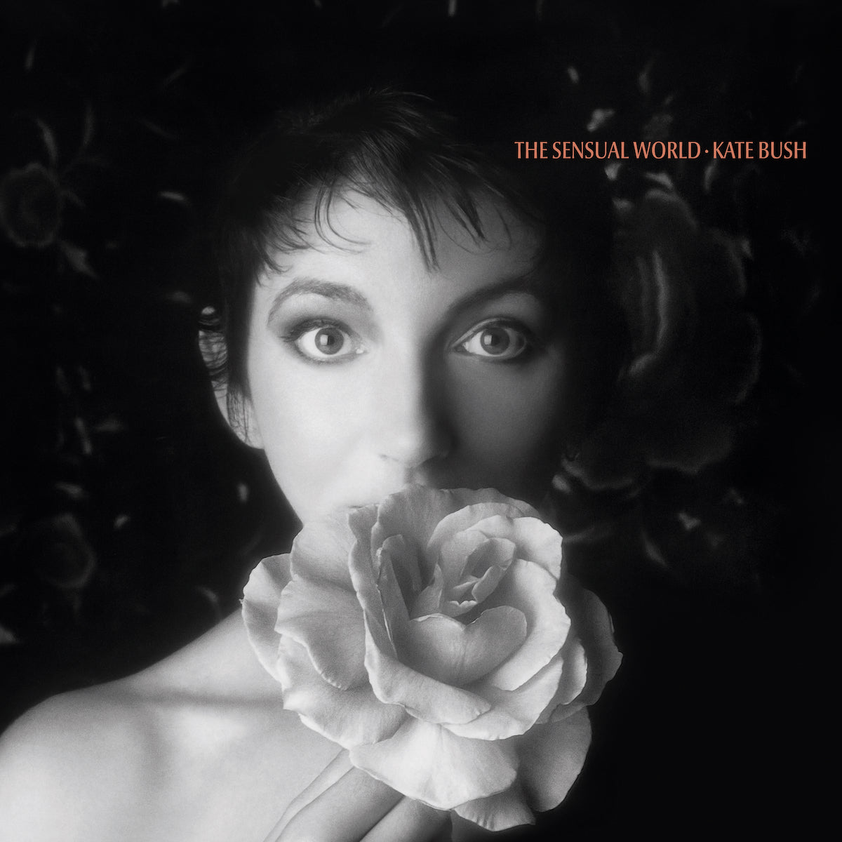 Sensual World - 2018 Remaster 180gm Black Vinyl