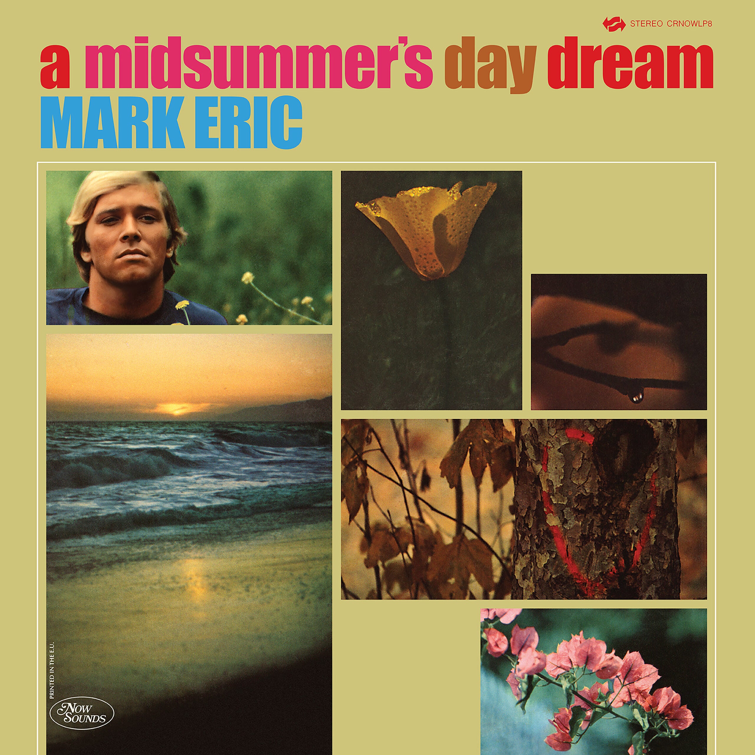 Midsummers Daydream