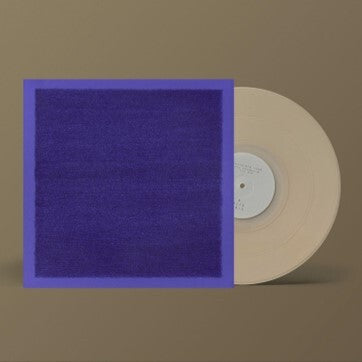 Invisible Room - Transparent White Vinyl