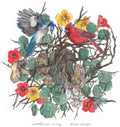 Bird Songs