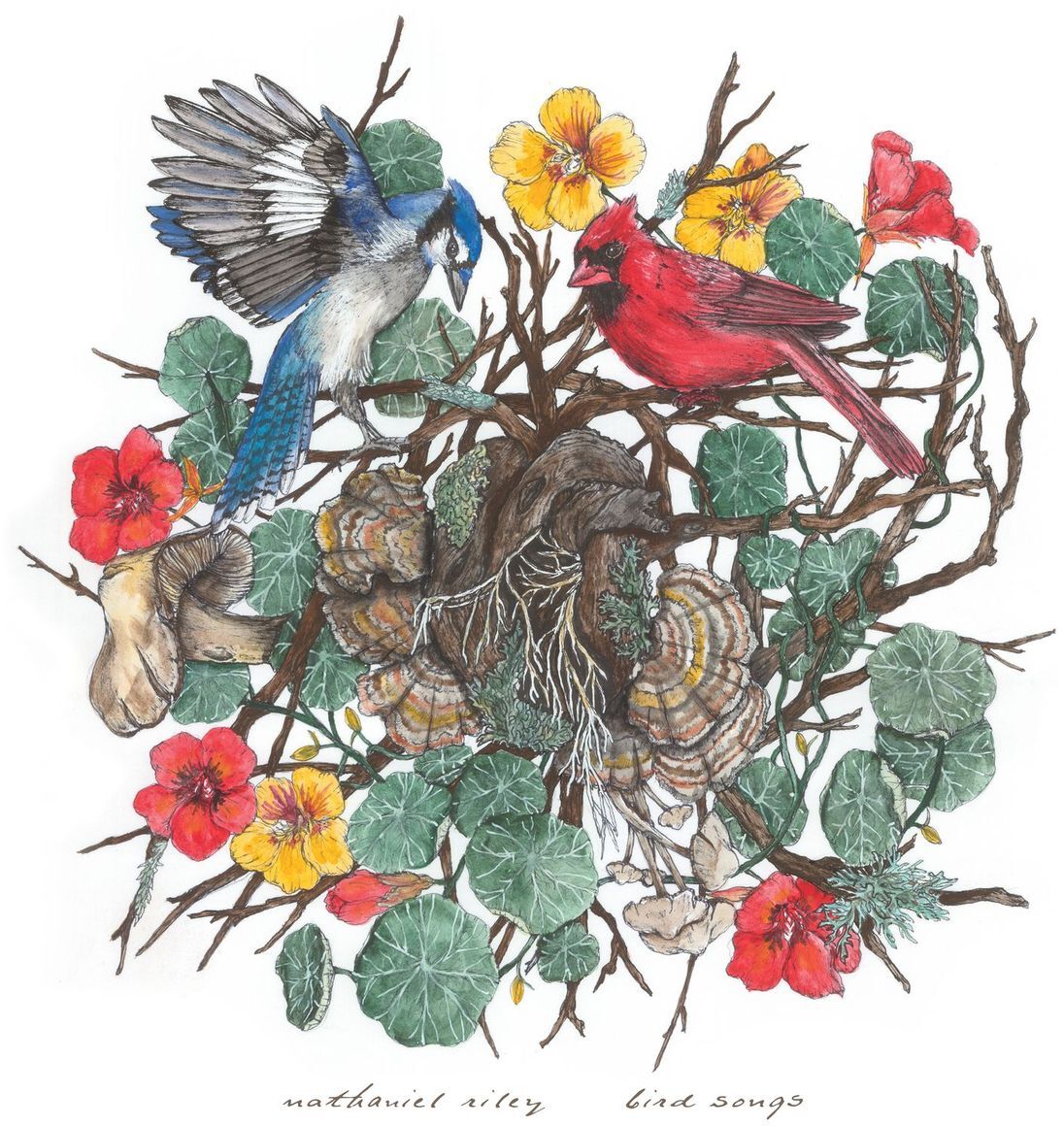 Bird Songs