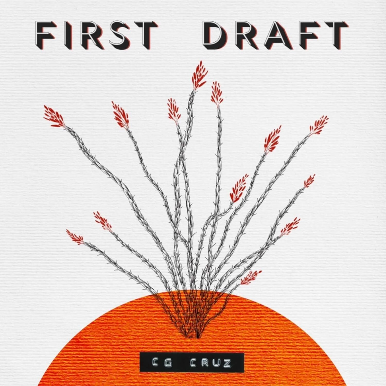 First Draft