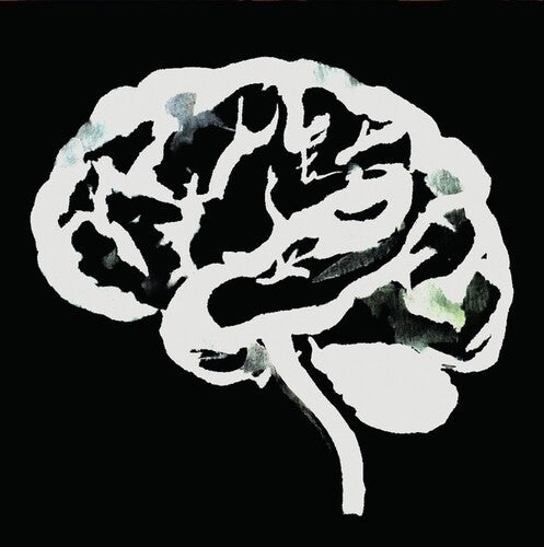 BRAIN FLAKES