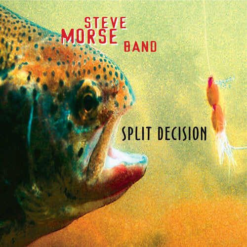 SPLIT DECISION