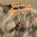 The Plow That Broke The Plains