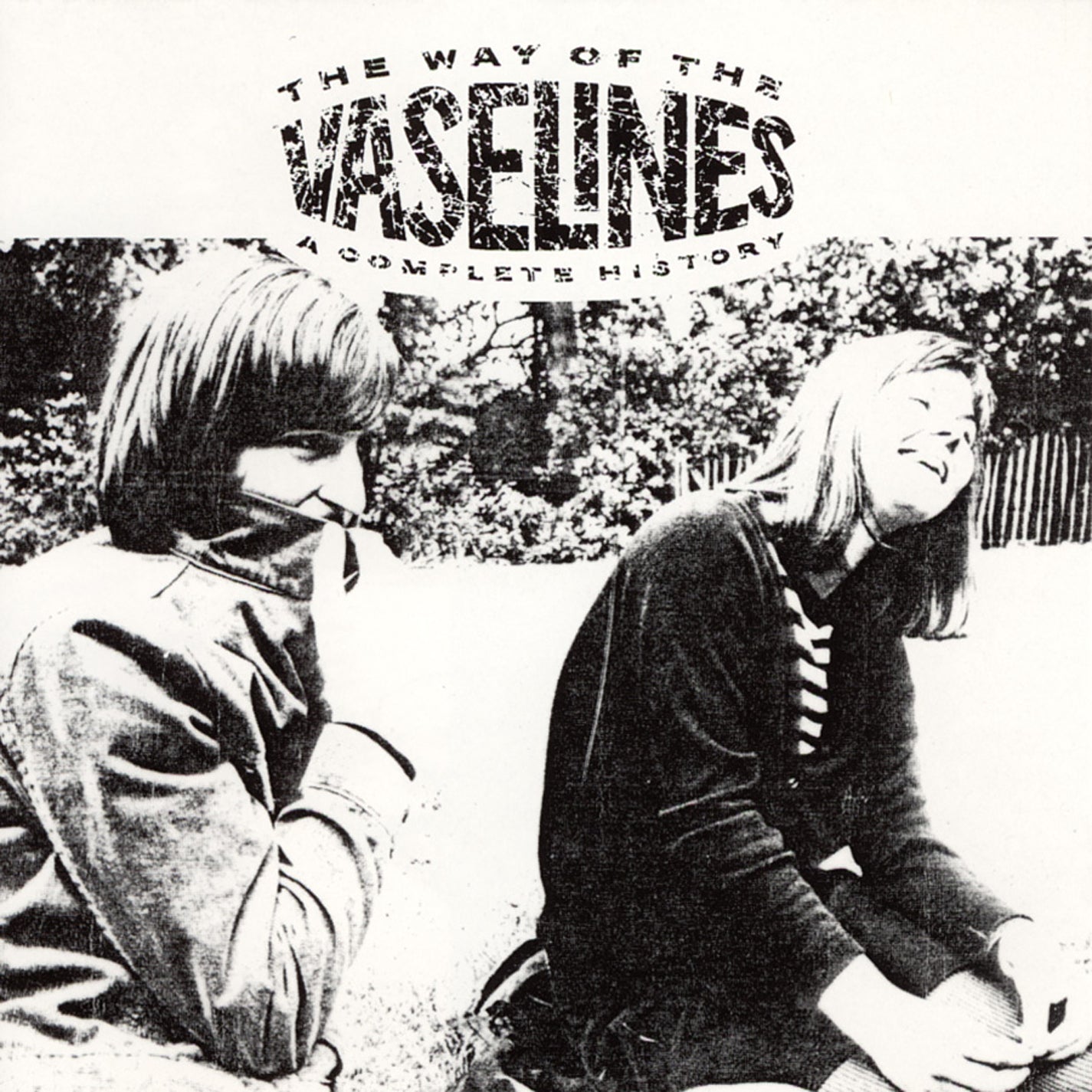 The Way Of The Vaselines - A Complete History