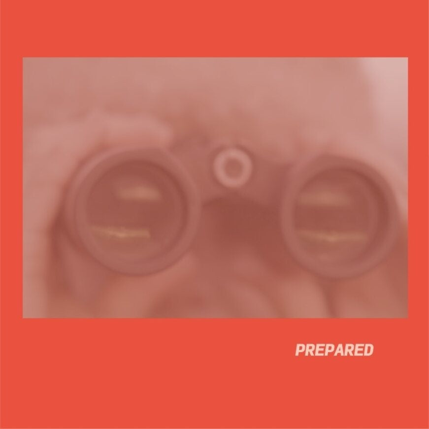 Prepared - Rose Pink Vinyl