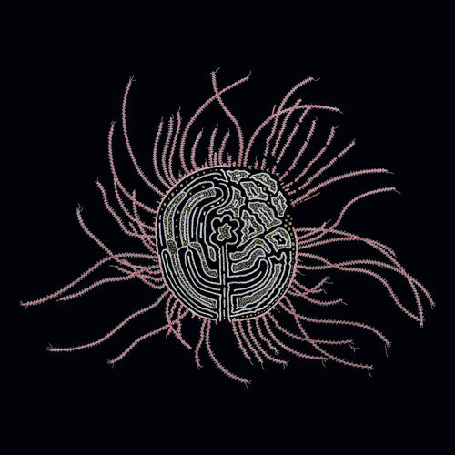 BEARINGS: SOUNDTRACKS FOR THE BARDOS