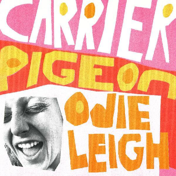 Carrier Pigeon
