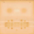 Dr. Dog