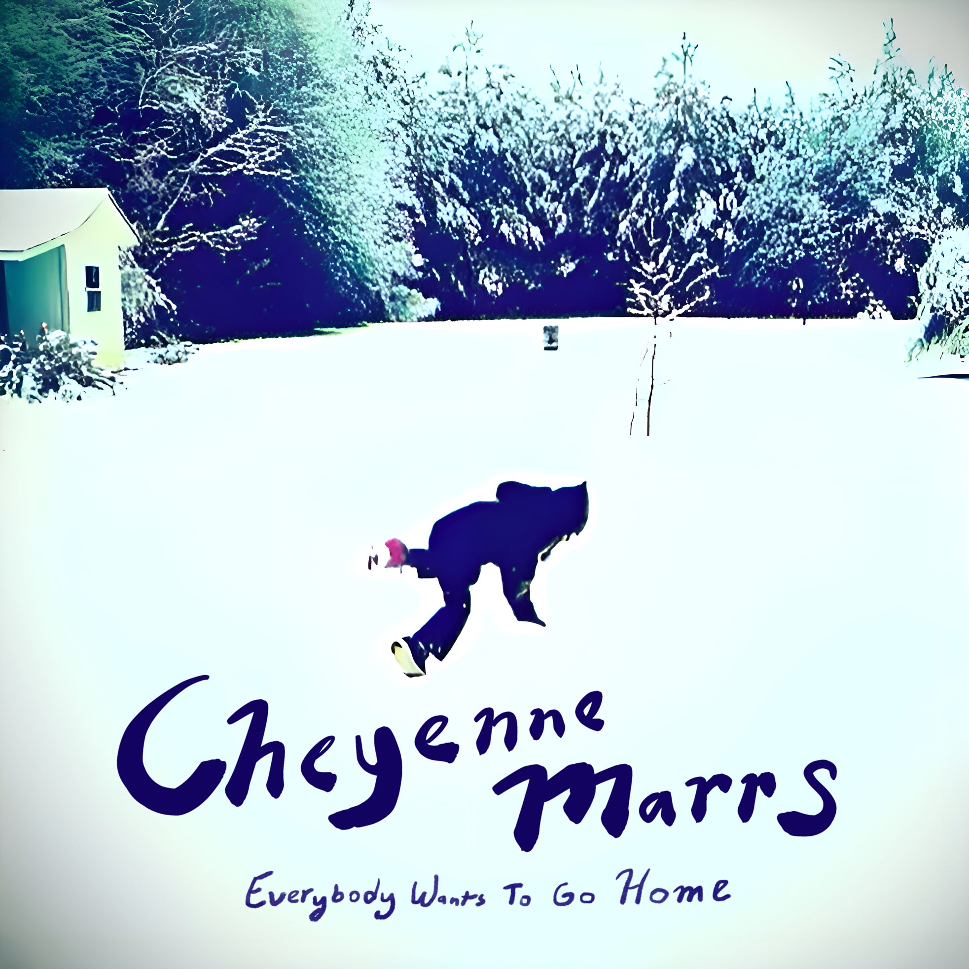 Everybody Wants To Go Home
