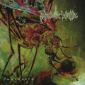 Mosquito (re-issue 2024)