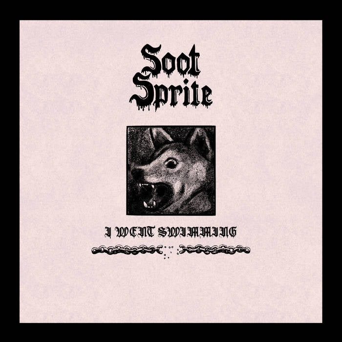 I Went Swimming / Home Among Your Bones