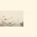 Golden Haze - Golden Haze