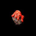 Soil - Red Splatter Colored Vinyl