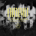 The Pronoia Sessions (Revised And Reimagined)