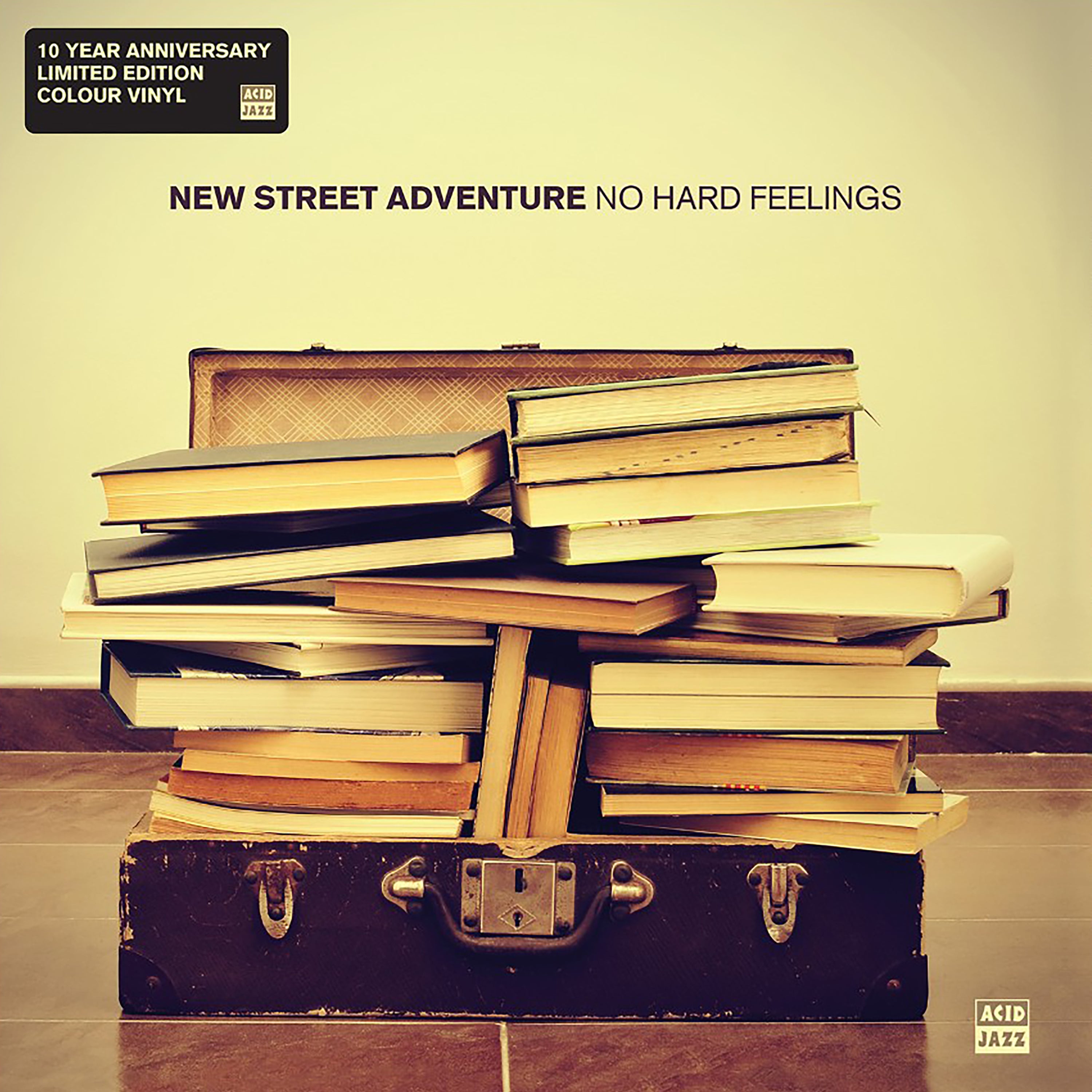 No Hard Feelings (10 Year Anniversary Limited Edition Colour Vinyl)