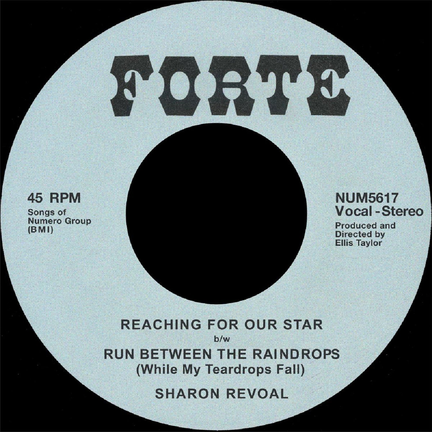 Reaching for Our Star B/W Run Between the Raindrops