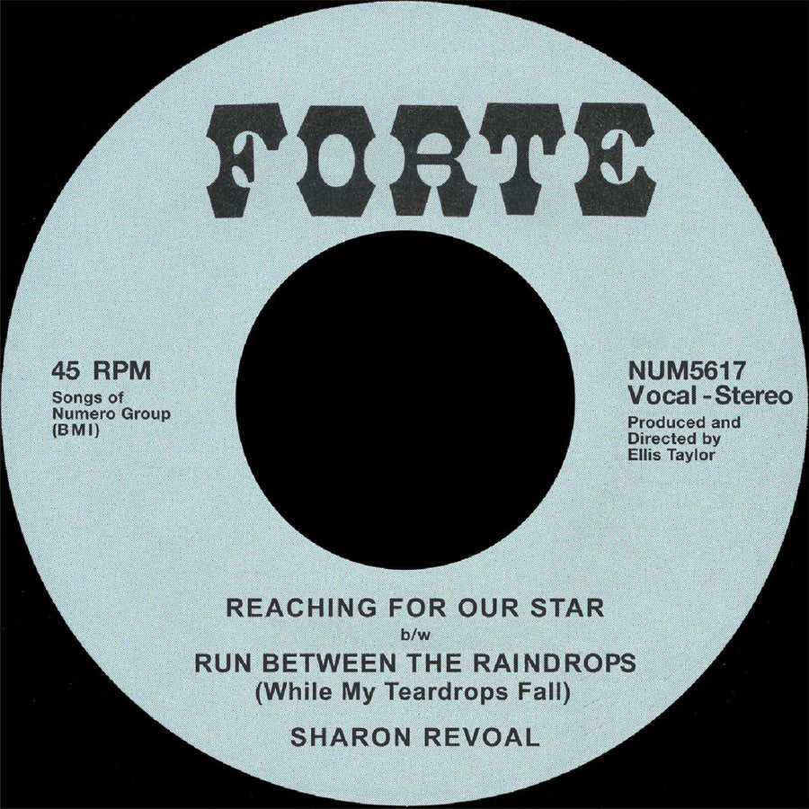 Reaching for Our Star B/W Run Between the Raindrops